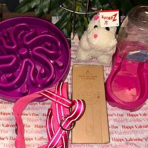 Pink Pet Feeding Set